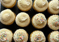 Red Velvet Cupcakes Single