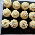 Chocolate Cupcakes Single