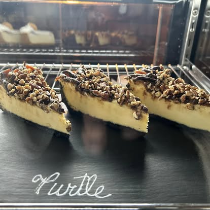 Cheesecake Turtle